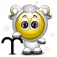 ���� �������� 2007